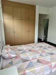 Clementi Park (D21), Condominium #558080891